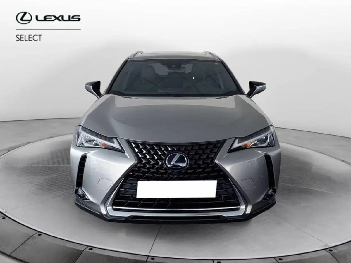 Lexus UX usata a Torino (2)