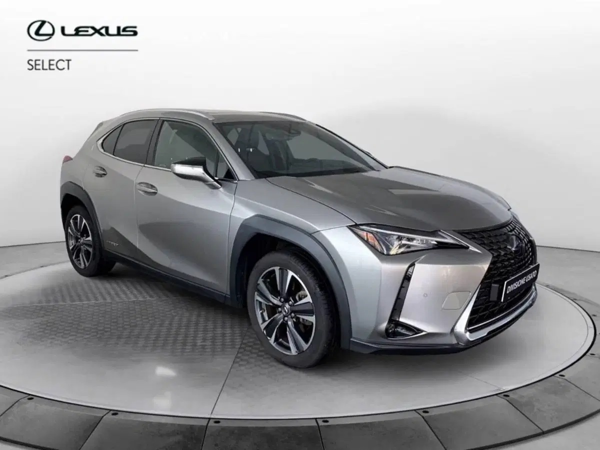 Lexus UX usata a Torino (3)