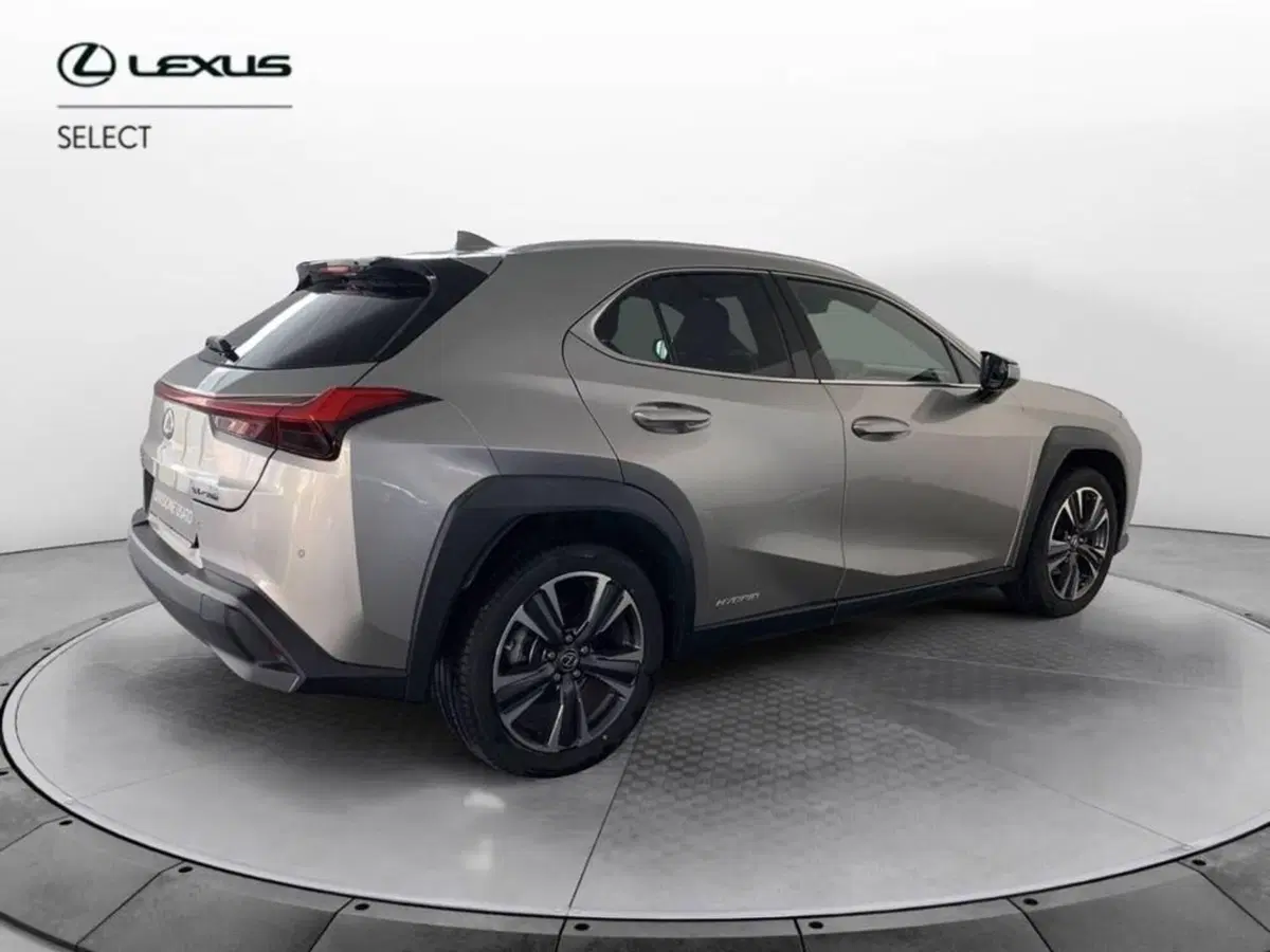 Lexus UX usata a Torino (5)