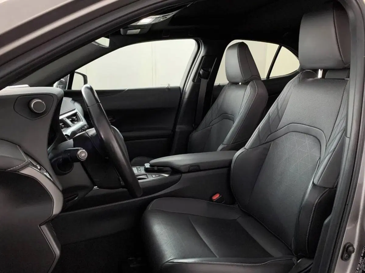 Lexus UX usata a Torino (11)