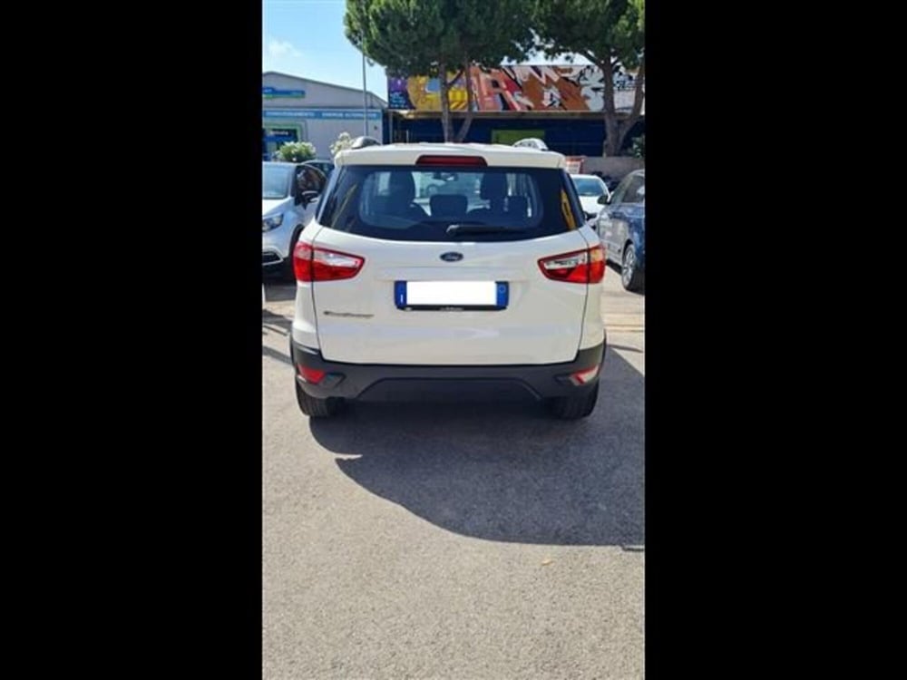 Ford EcoSport usata a Grosseto (2)