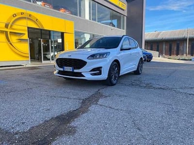 Ford Kuga 1.5 EcoBlue 120 CV 2WD ST-Line  del 2020 usata a Fano