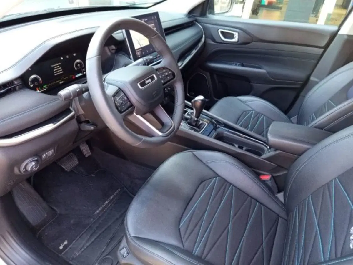 Jeep Compass usata a Frosinone (10)