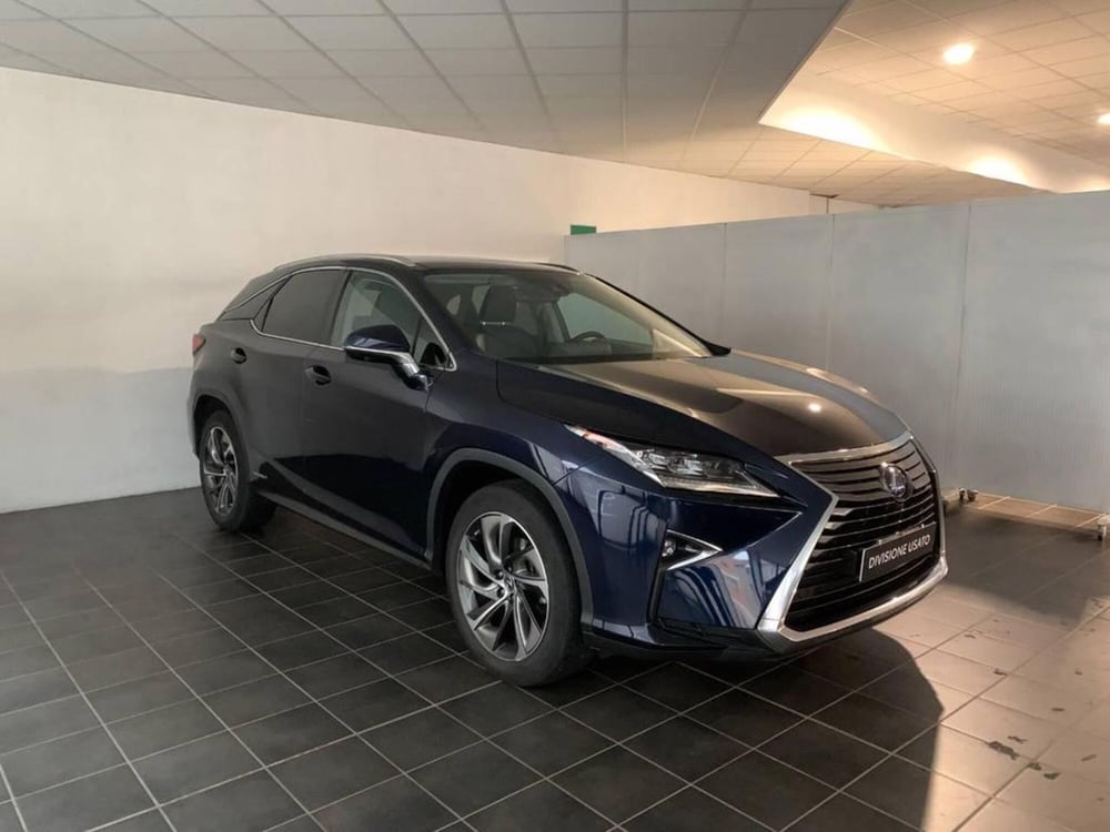 Lexus RX usata a Torino (4)