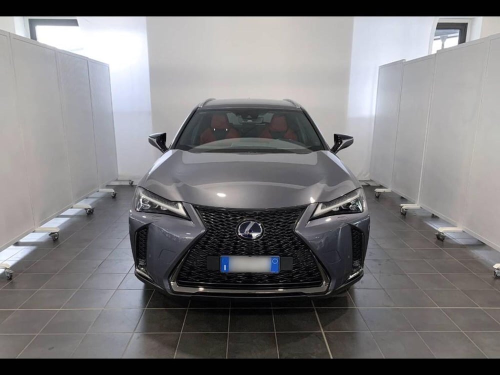 Lexus UX usata a Torino