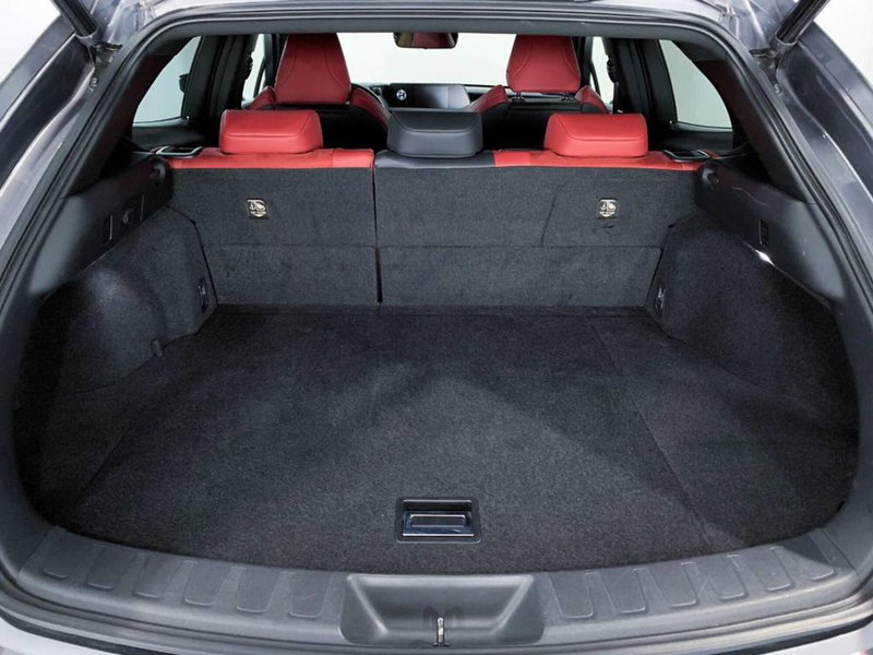 Lexus UX usata a Torino (14)