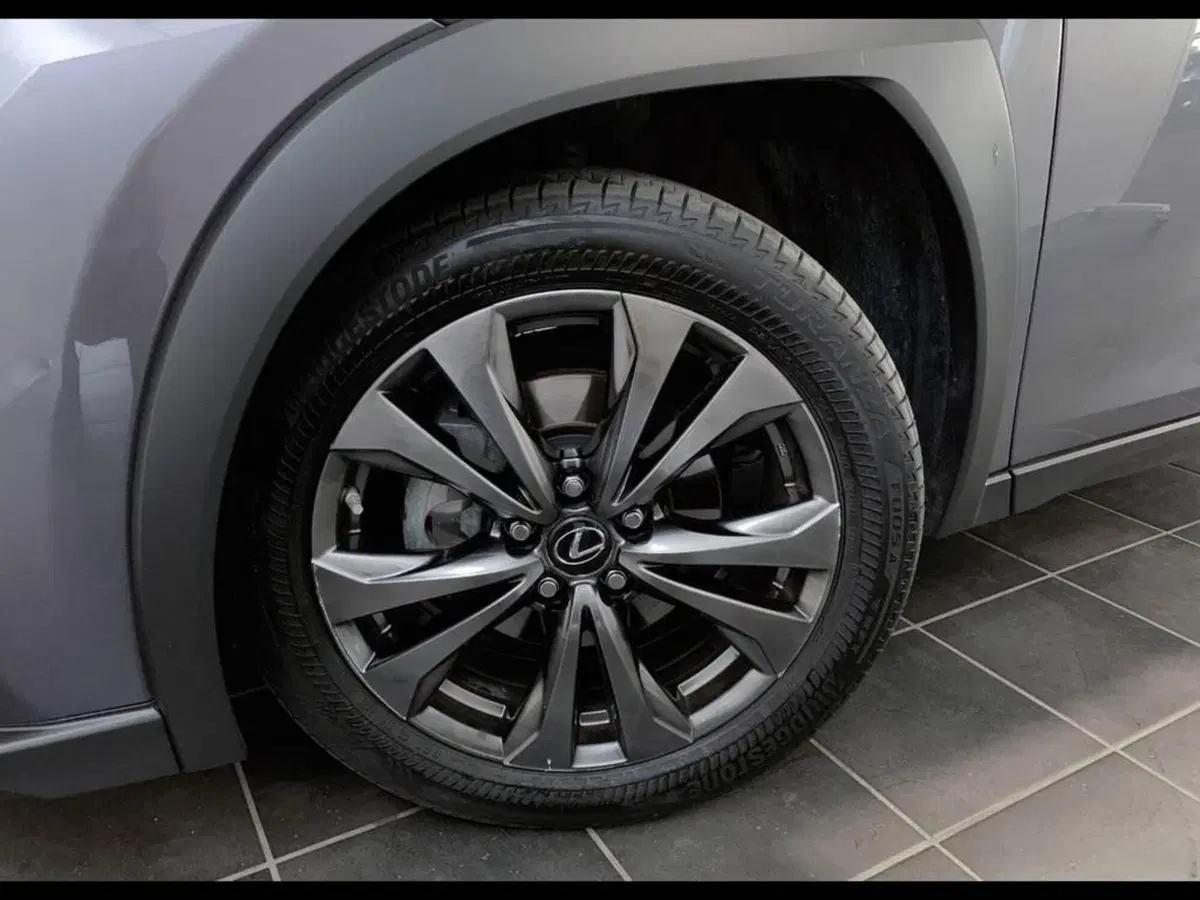 Lexus UX usata a Torino (6)