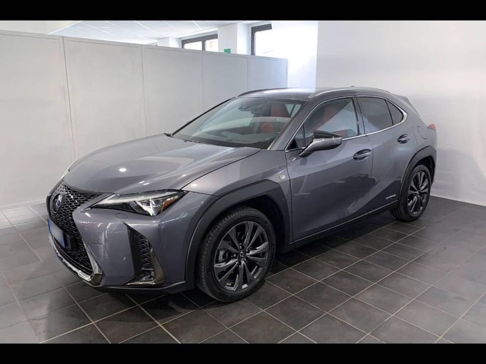 Lexus UX usata a Torino (2)