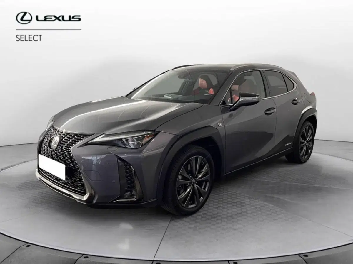 Lexus UX usata a Torino