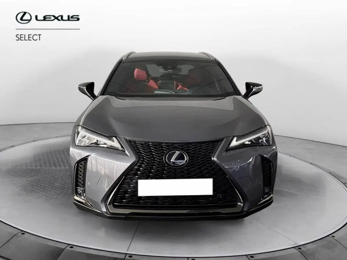 Lexus UX usata a Torino (2)