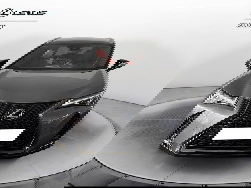 Lexus UX usata a Torino (2)