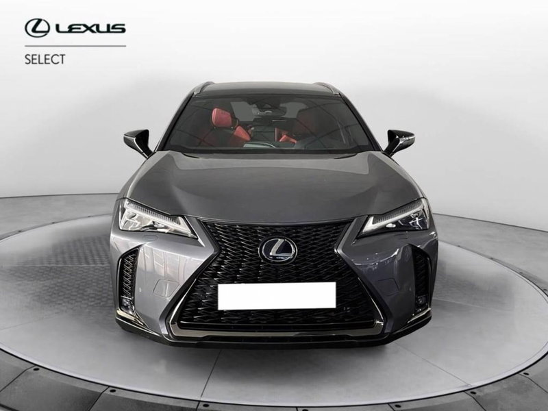 Lexus UX usata a Torino (2)