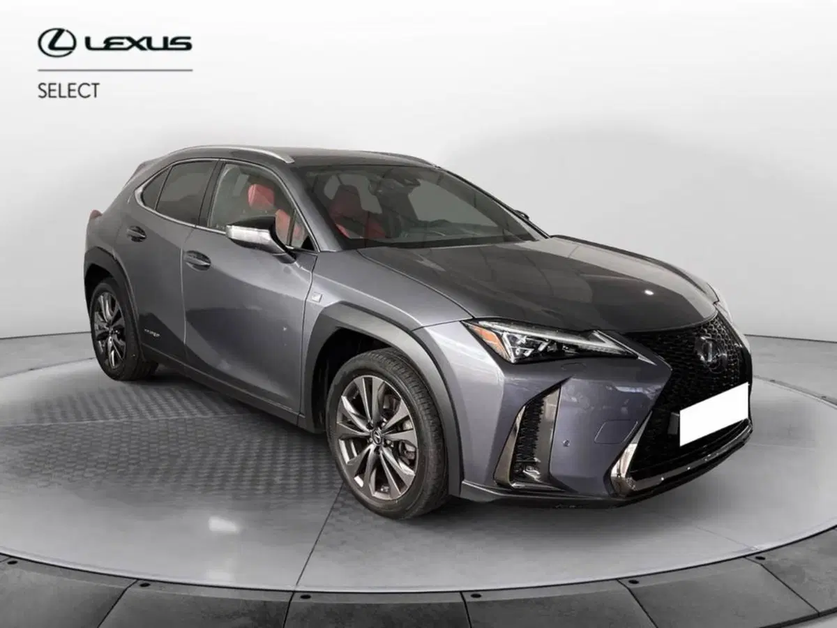 Lexus UX usata a Torino (3)