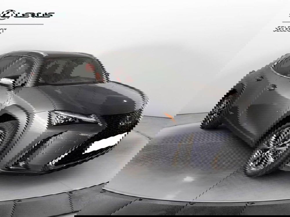 Lexus UX usata a Torino (3)