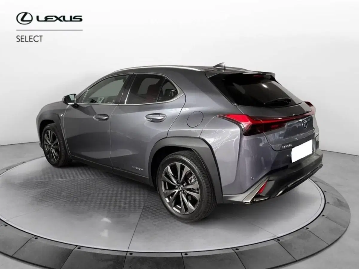 Lexus UX usata a Torino (4)