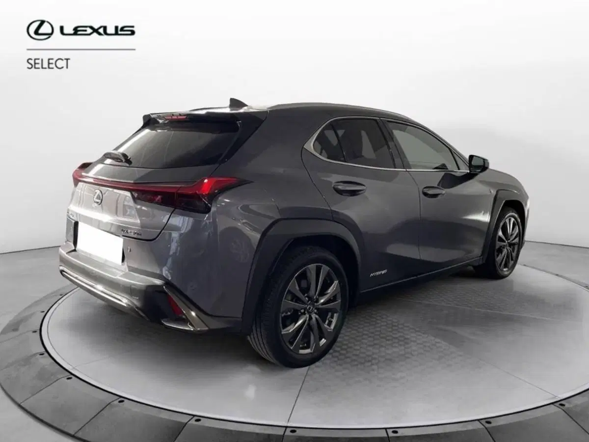 Lexus UX usata a Torino (5)