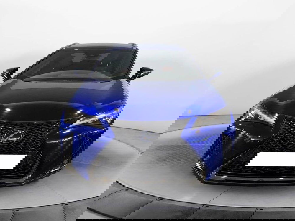 Lexus UX usata a Torino (2)