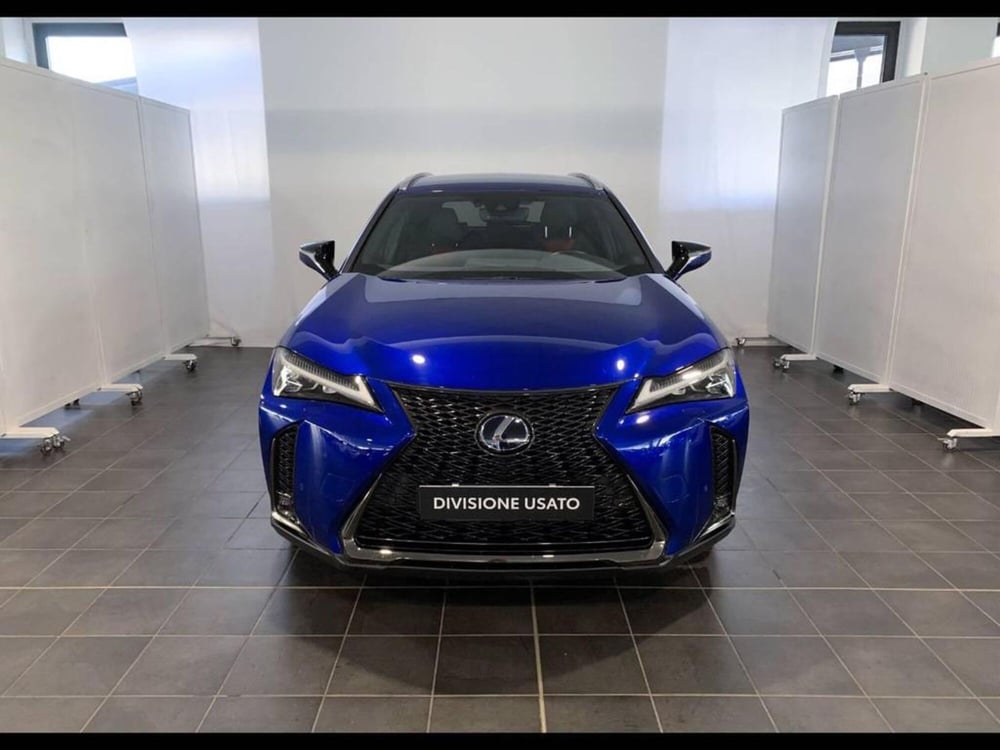 Lexus UX usata a Torino (5)