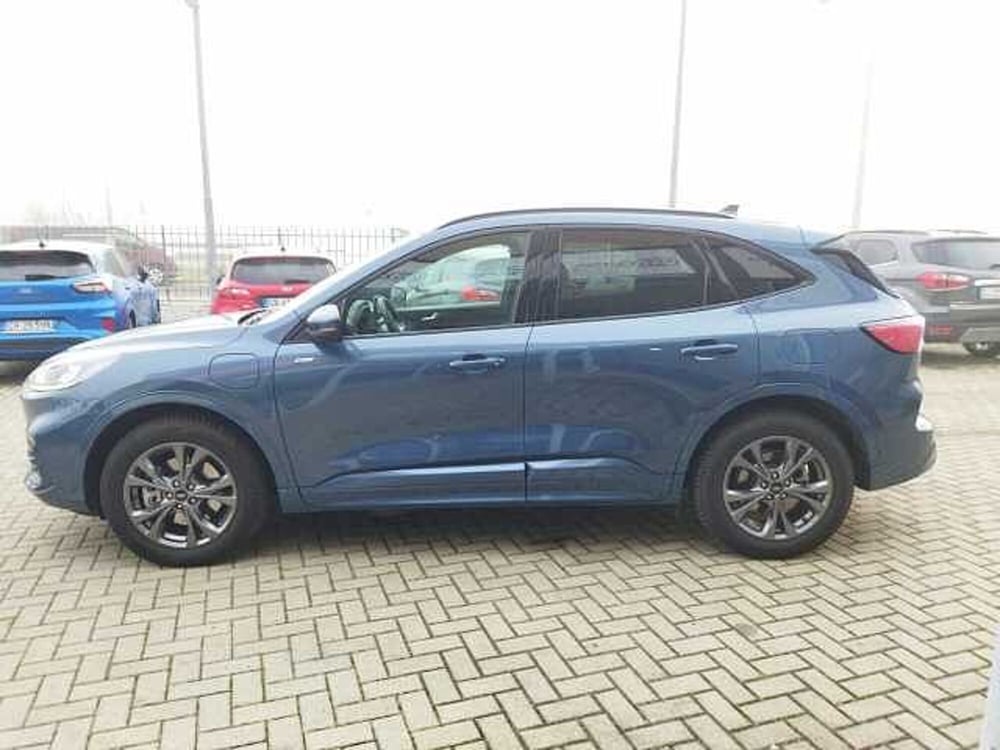 Ford Kuga usata a Torino (3)