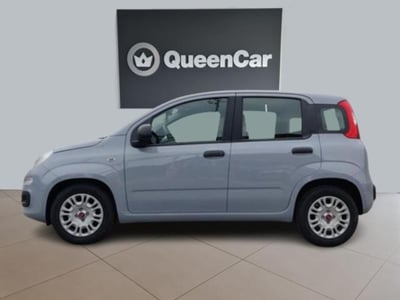 Fiat Panda 1.0 firefly hybrid s&amp;s 70cv 5p.ti del 2022 usata a Pianezza