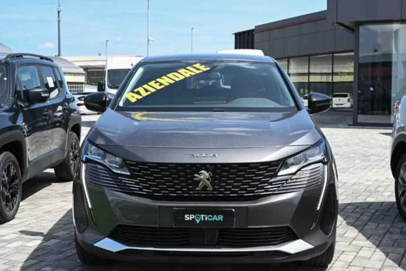 Peugeot 3008 usata a Torino (2)