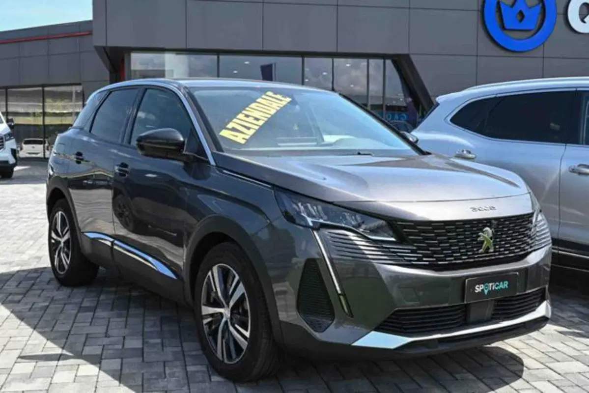 Peugeot 3008 usata a Torino (3)