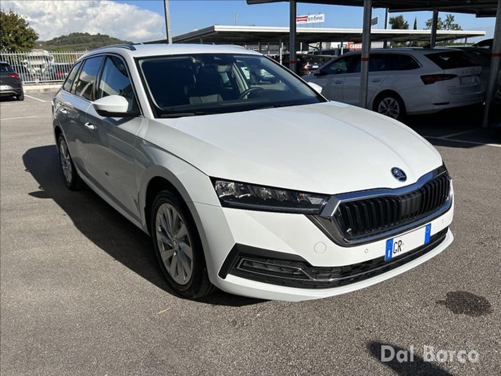 Skoda Octavia usata a Verona (3)