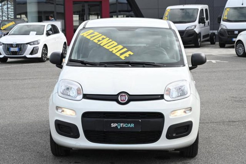 Fiat Panda usata a Torino (2)