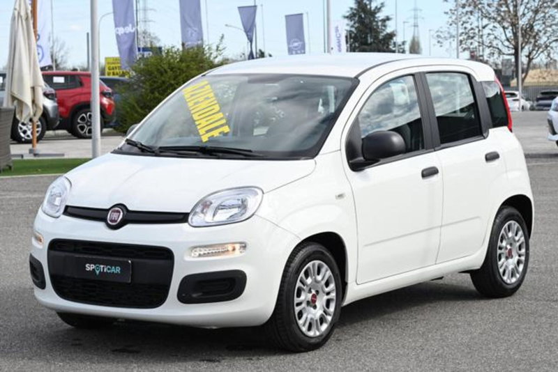 Fiat Panda usata a Torino (20)