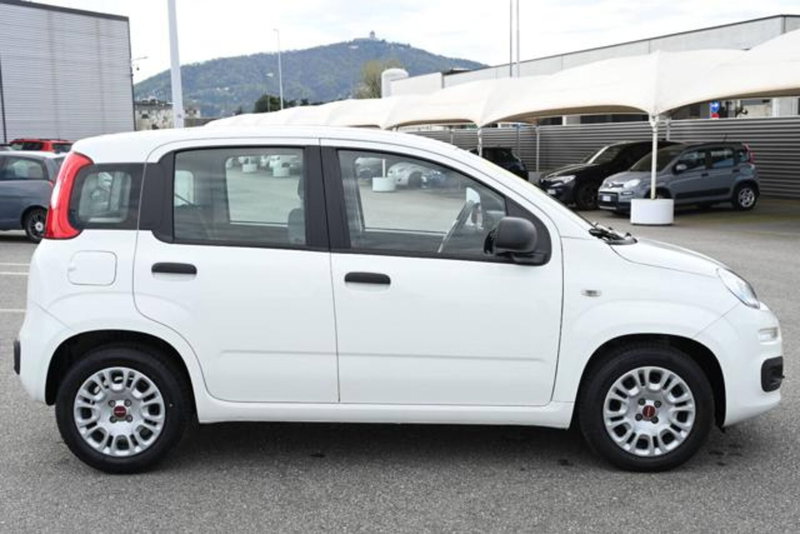 Fiat Panda usata a Torino (4)