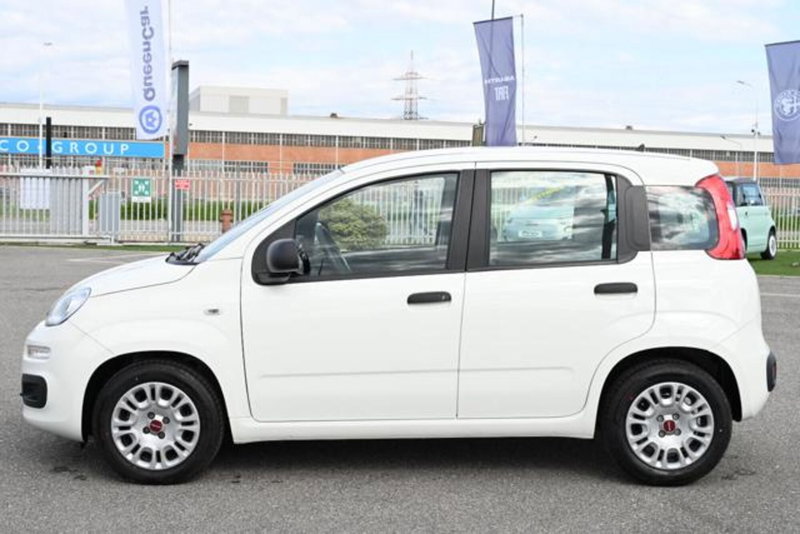 Fiat Panda usata a Torino (8)