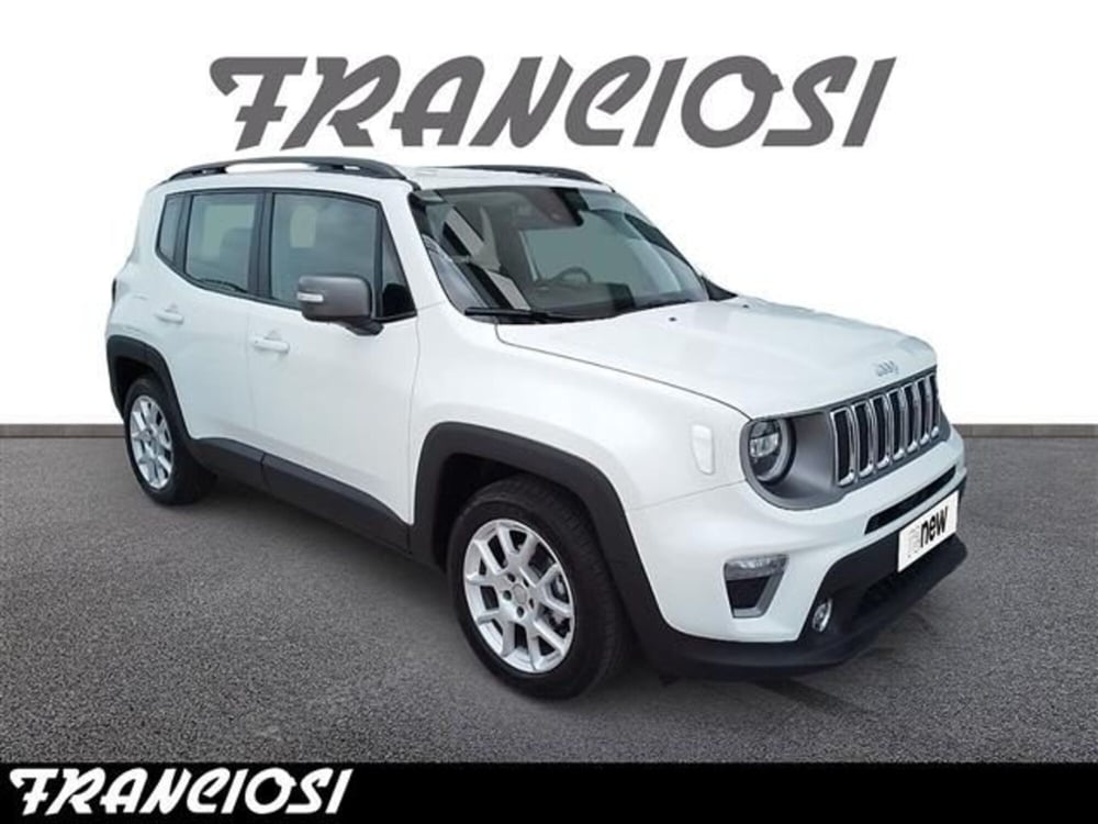 Jeep Renegade usata a Modena (2)