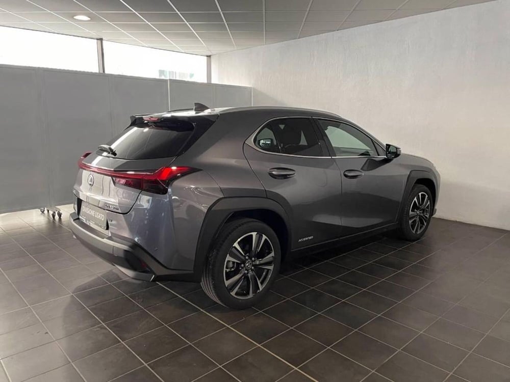 Lexus UX usata a Torino (3)