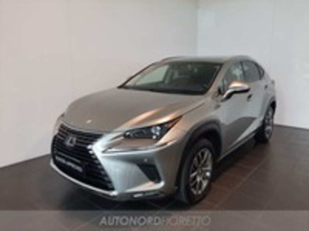 Lexus NX usata a Pordenone