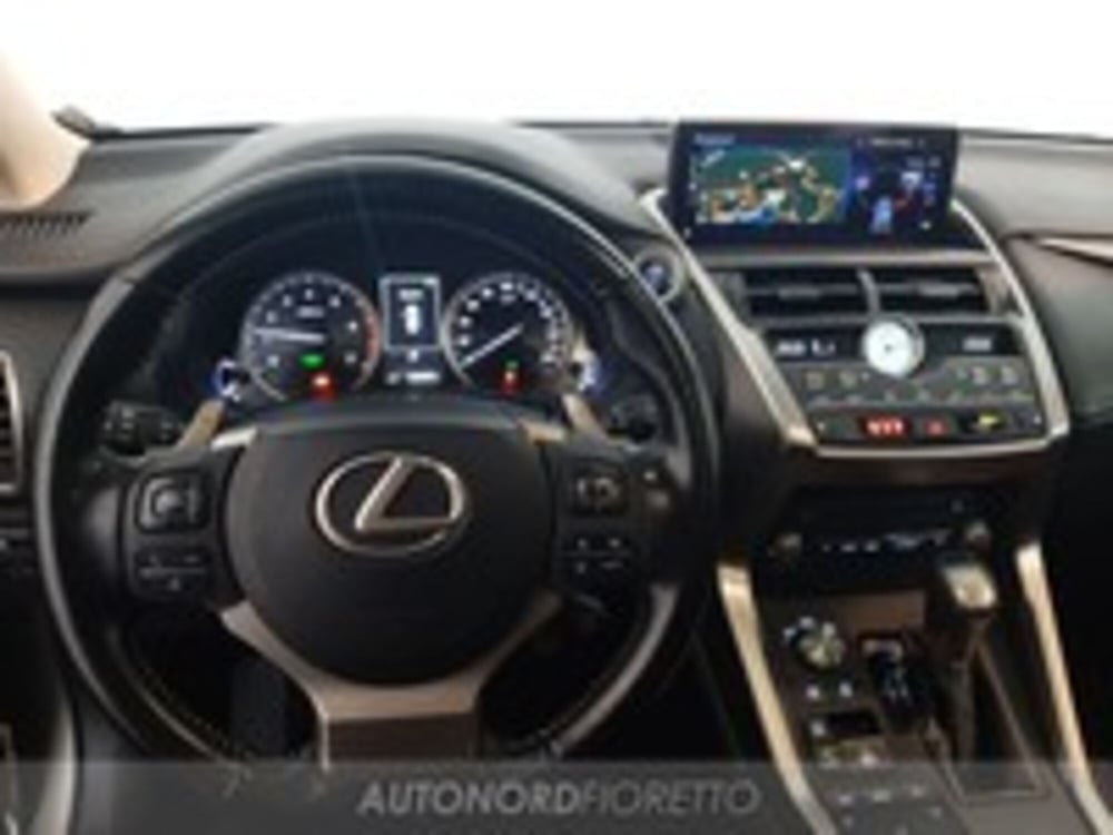 Lexus NX usata a Pordenone (13)