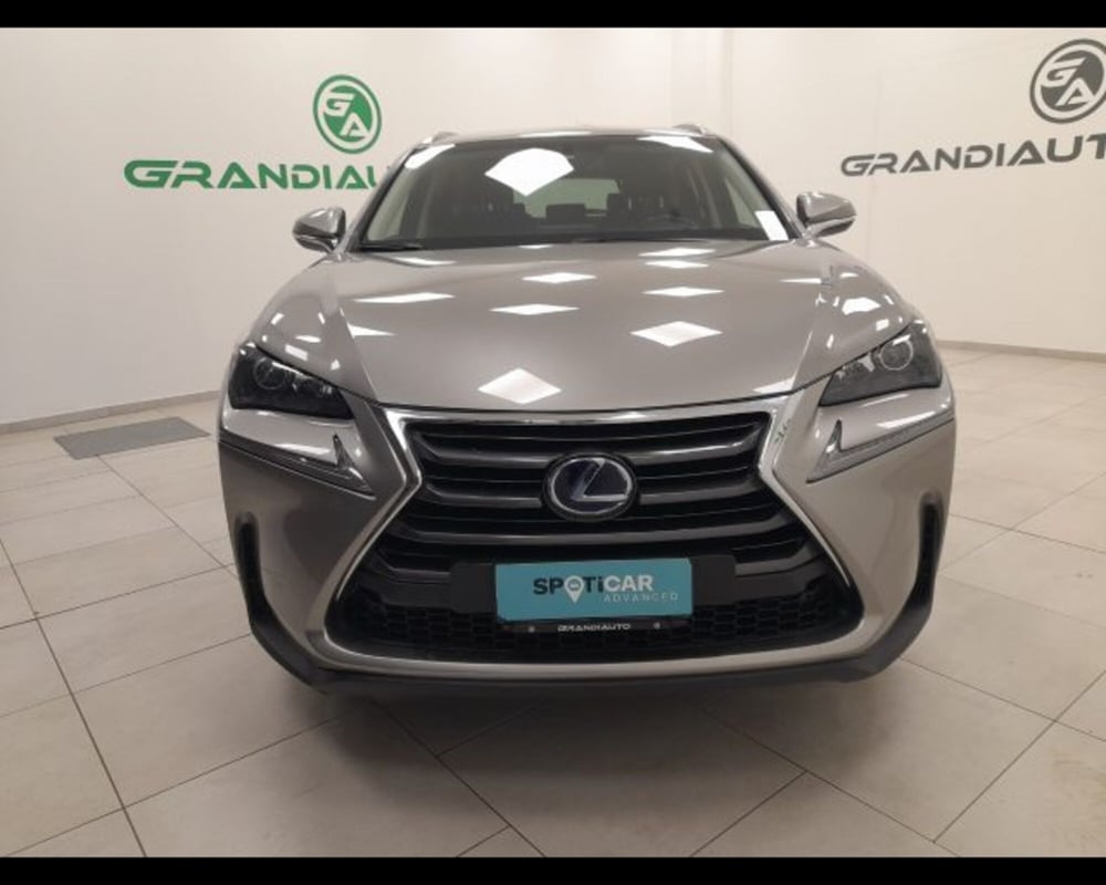 Lexus NX usata a Alessandria (2)