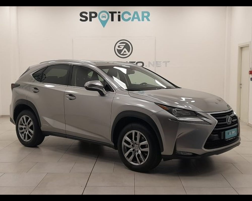 Lexus NX usata a Alessandria (3)