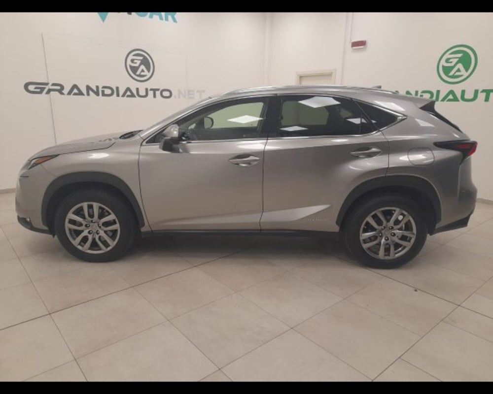 Lexus NX usata a Alessandria (4)