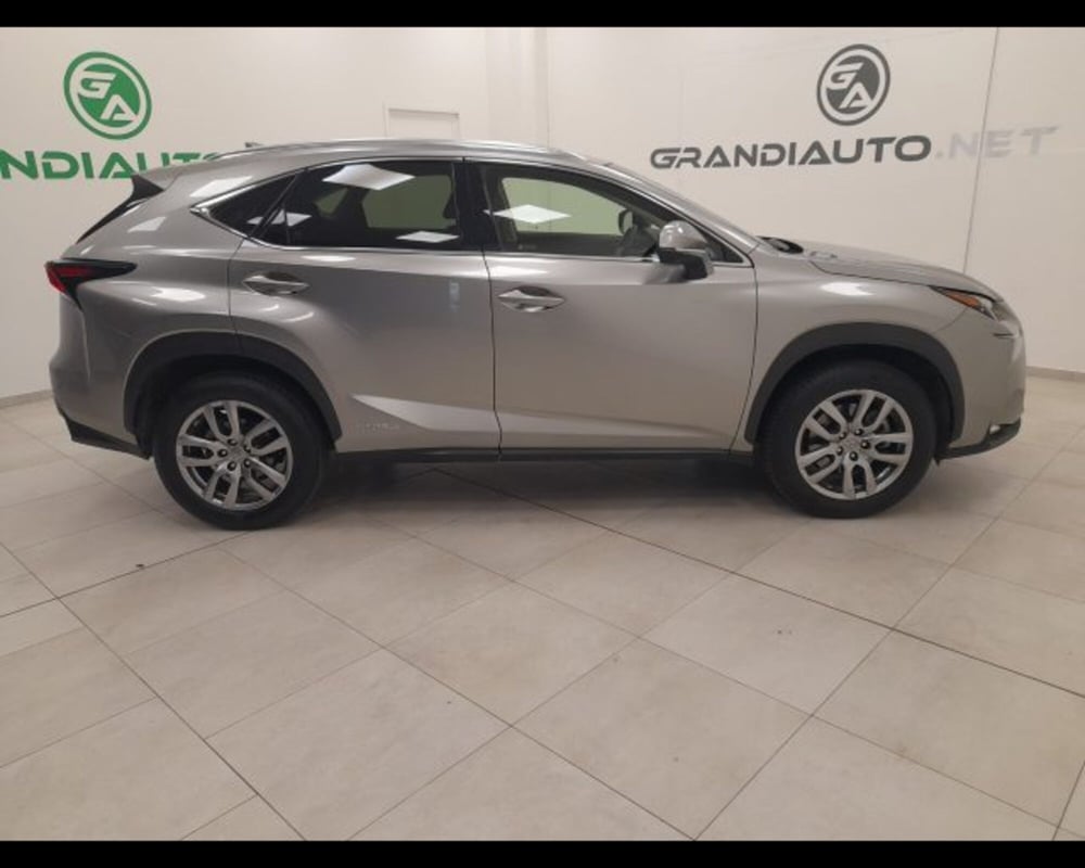 Lexus NX usata a Alessandria (5)