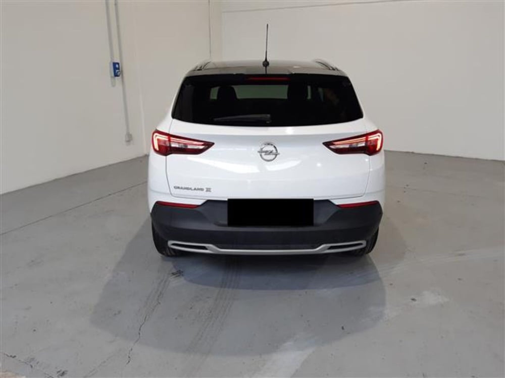 Opel Grandland X usata a Asti (3)