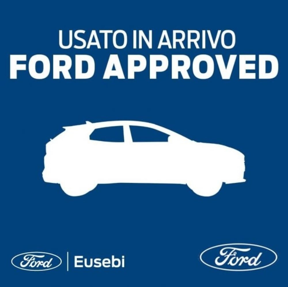 Ford Transit Connect Furgone usata a Pesaro-Urbino