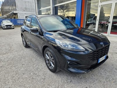 Ford Kuga 2.0 EcoBlue Hybrid 150 CV 2WD ST-Line X  del 2020 usata a Fano