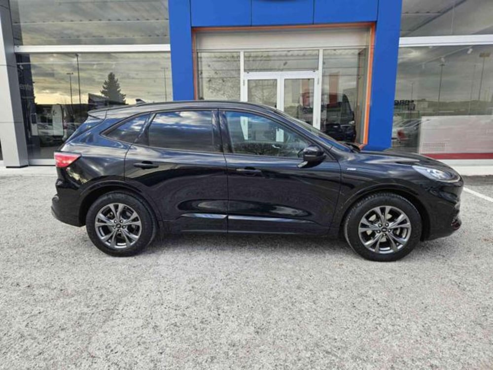 Ford Kuga usata a Pesaro-Urbino (4)