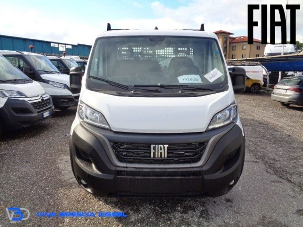 Fiat Ducato Telaio nuova a Brescia (2)