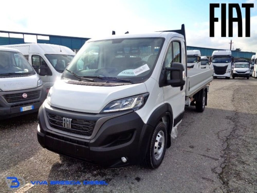 Fiat Ducato Telaio nuova a Brescia (3)