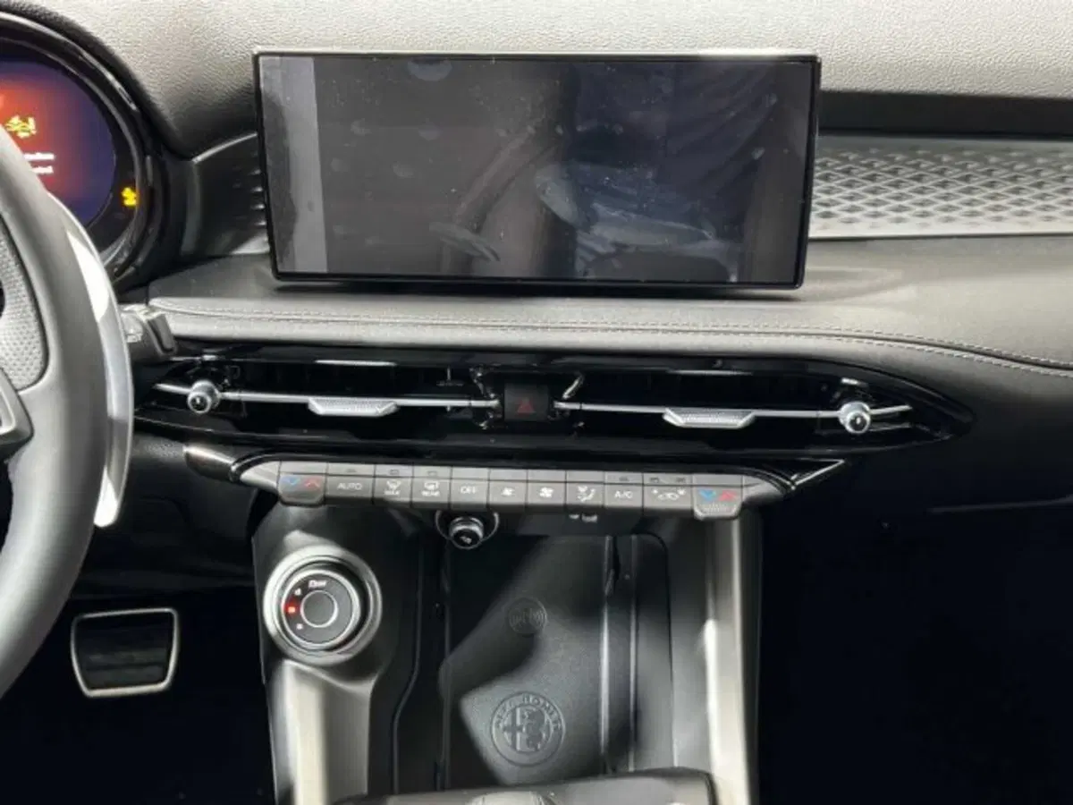 Alfa Romeo Tonale usata a Sondrio (13)