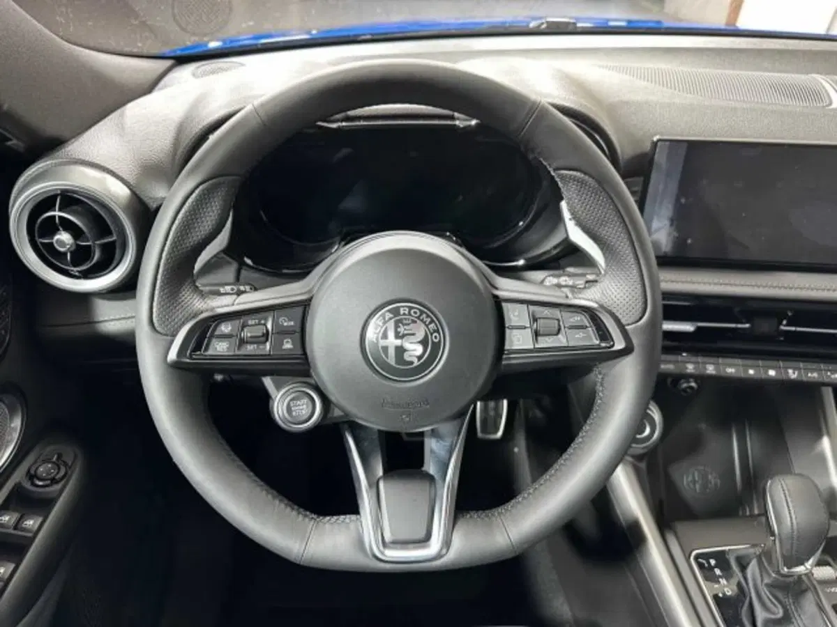 Alfa Romeo Tonale usata a Sondrio (14)