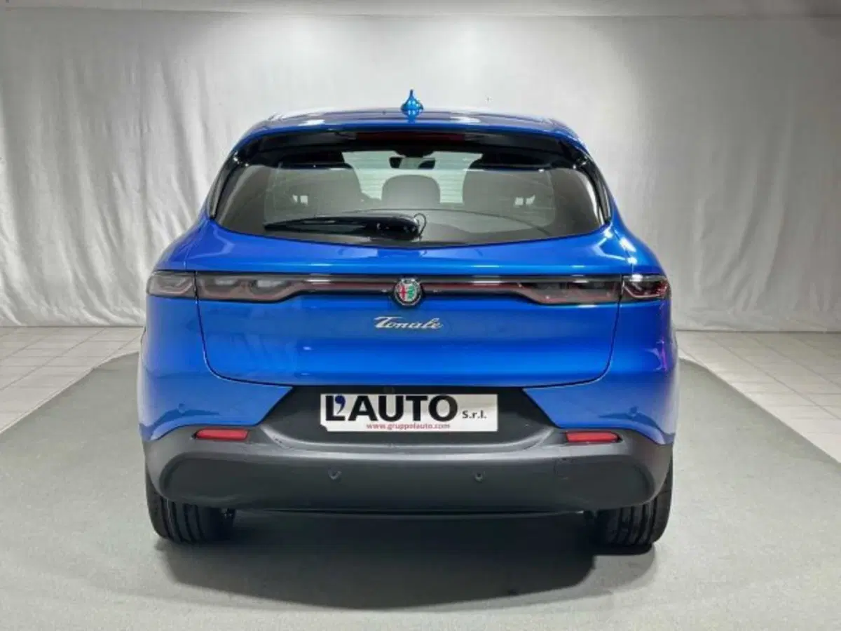 Alfa Romeo Tonale usata a Sondrio (4)