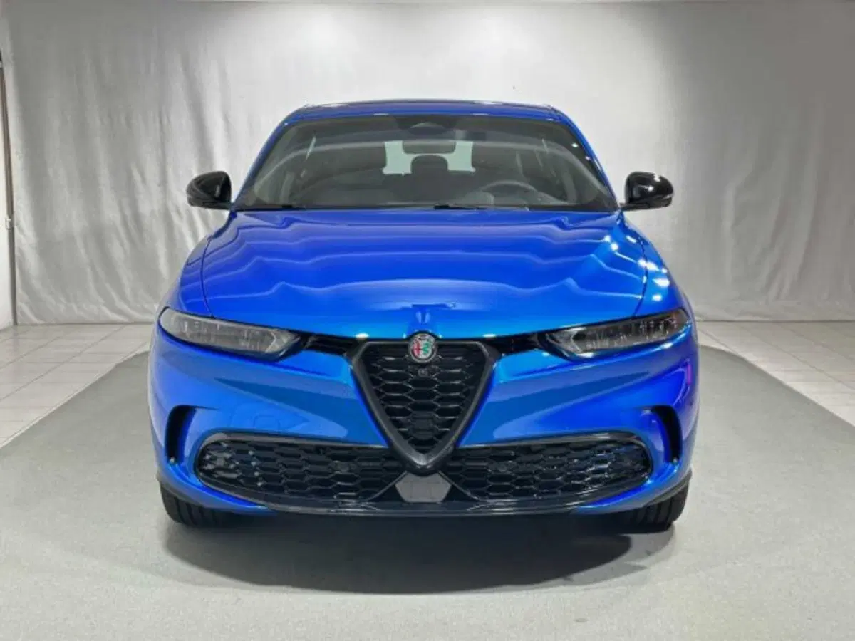 Alfa Romeo Tonale usata a Sondrio (8)