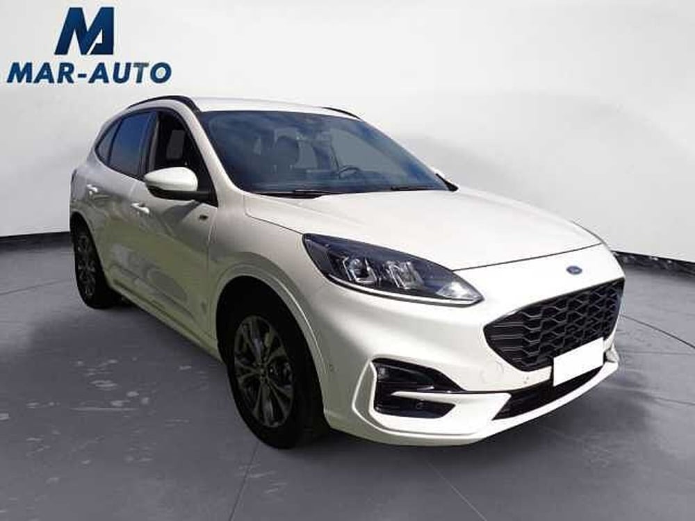 Ford Kuga usata a Treviso (4)